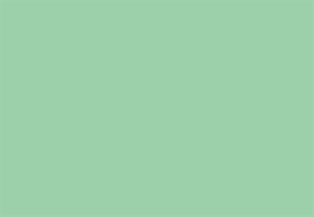 SENSA GREEN NO.40 5000m 195
