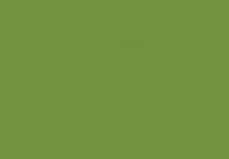 SENSA GREEN NO.40 5000 m